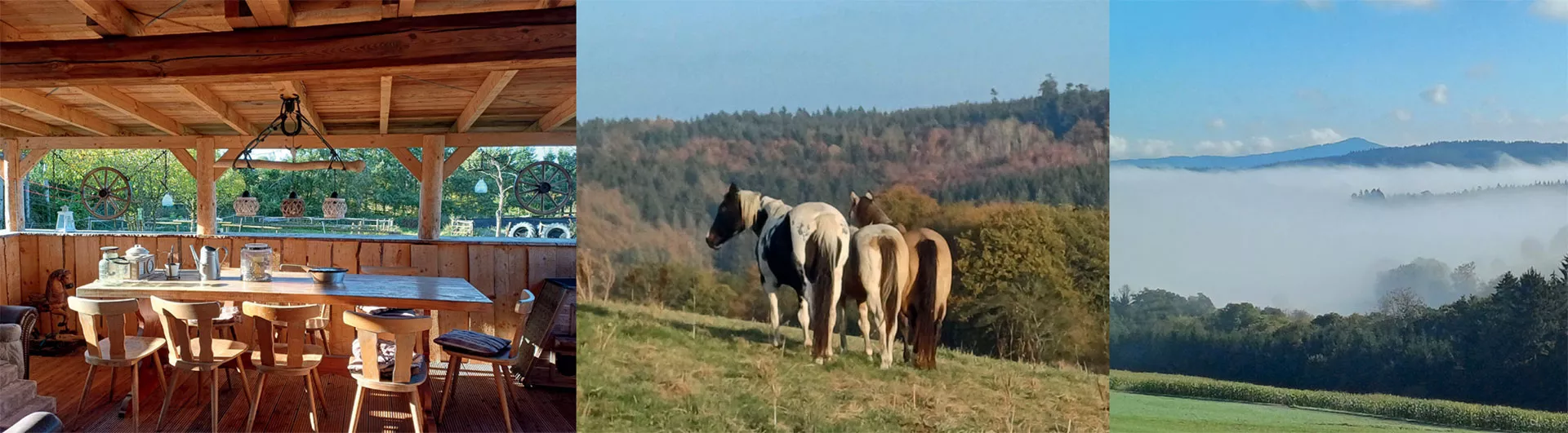 Wanderreitstation 14 Terrasse, Pferdeweise, Ausblick über Weide, Wald, Berge
