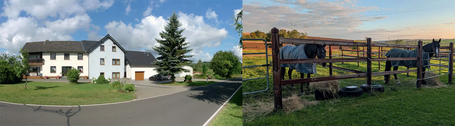 Wanderreitstation 38 Hofgebäude und Paddockanlage