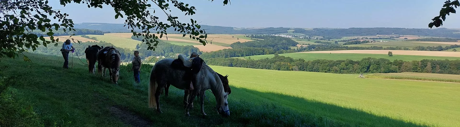 Rittpause mit Aussicht