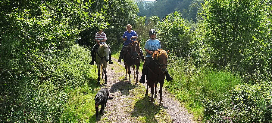 Wanderreiterinnen mir Reitbegleithund