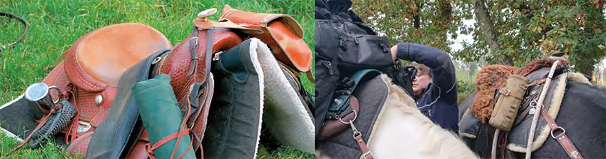 gesattelte Pferde mit Wanderreitausrüstung