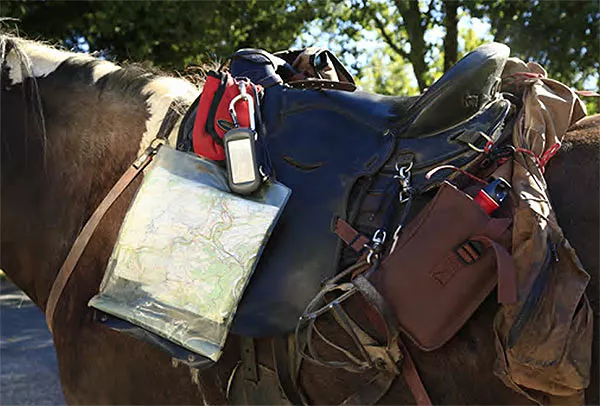 Gesatteltes Pferd mit Wanderreitausrüstung: Kartentasche, GPS-Gerät, Packtaschen, Trinkflasche