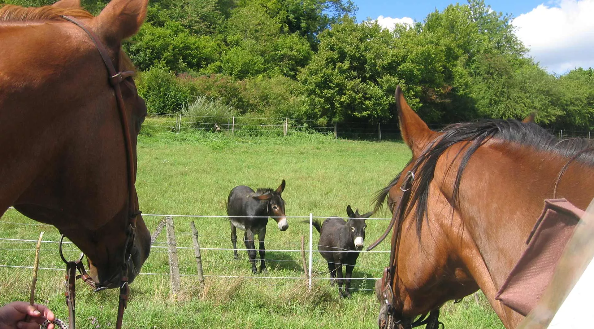Begegnungen unterwegs