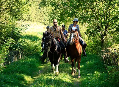 Reitergruppe aus einem Naturweg -(Foto Sandra Hoffmann)
