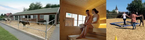 Fotos der Wanderreitstation Nr. 5 in Steffeln